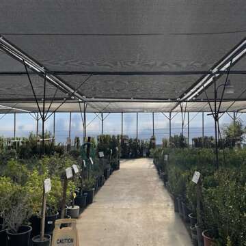 Joepen Black Shade Cloth with Grommets, Greenhouse Garden Shade Cover Plant Shades from Sun (Black-70%, 6‘ x 9’)