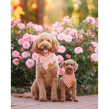 Remy+Roo Large Spring Dog Bandanas - 4 Pack Daisy Set | Premium Durable Adjustable Polyester Fabric ...