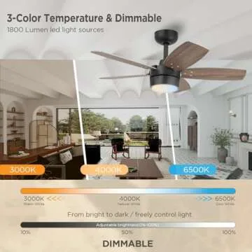 Quiet Modern Ceiling Fan with Light for Small Rooms