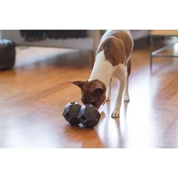 Interactive Odin Treat Ball - Fun Pet Toy for Mental Stimulation and Play