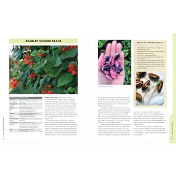 Four-Season Food Gardening for All Levels of Gardeners