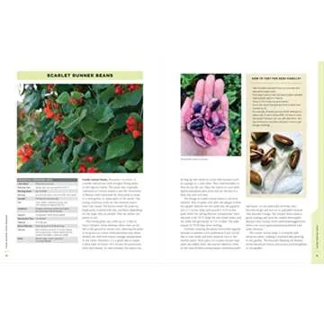 Four-Season Food Gardening for All Levels of Gardeners