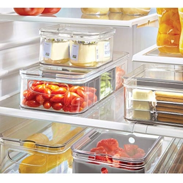 iDesign Large Divided Produce Storage Container BPA-Free