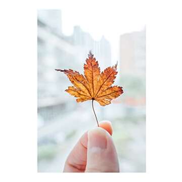 Nikon NIKKOR Z 28-75mm f/2.8 Lens | Compact Mid-Range Zoom for Z Series