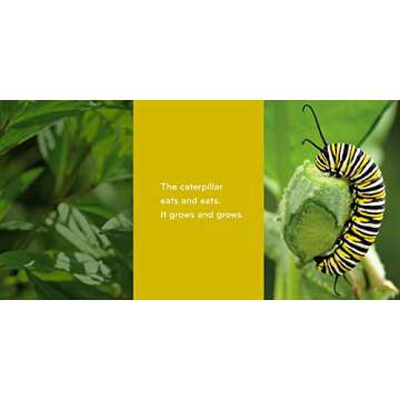 Caterpillar to Butterfly (Science for Toddlers)