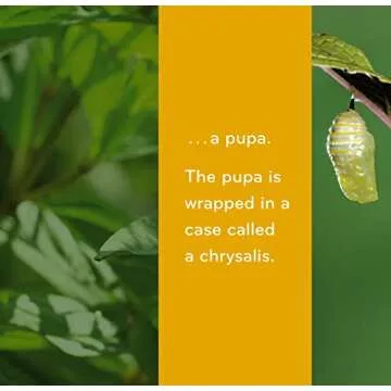 Caterpillar to Butterfly (Science for Toddlers)