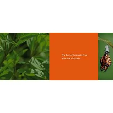 Caterpillar to Butterfly (Science for Toddlers)