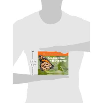 Caterpillar to Butterfly (Science for Toddlers)