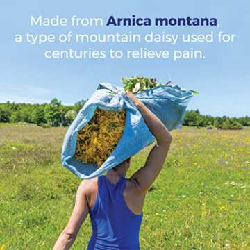 Boiron Arnica Montana 30X Homeopathic Medicine for Relief from Muscle Pain, Muscle Stiffness, Swelling from Injury, and Discoloration from Bruises - 3 Count (240 Pellets)