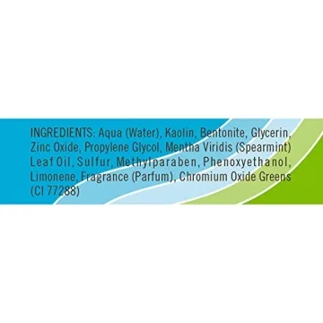 Mint Julep Masque for Oil Control & Skin Smoothening