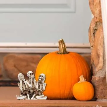 Needzo 5 Inch Skeleton Halloween Figurines for Decor