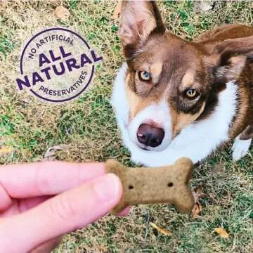 Wellness Old Mother Hubbard Dog Biscuits - Peanut Butter Flavor