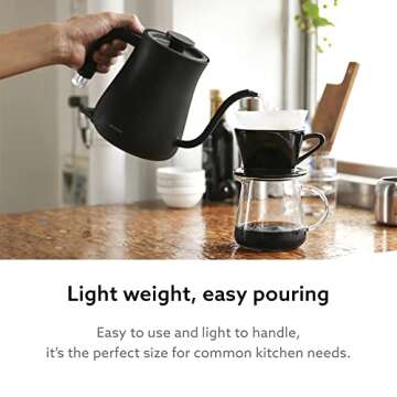 BALMUDA The Kettle | Electric Gooseneck Kettle | Lightweight | Stainless Steel | 0.6L (20fl oz) Capa...