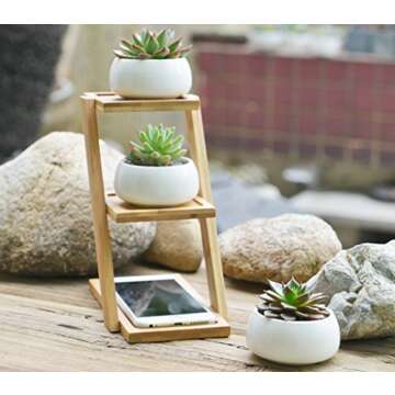 Jusalpha Ceramic Round Succulent Plant Pot, Flower Pots with Drainage Hole for Succulent Plants, Cac...