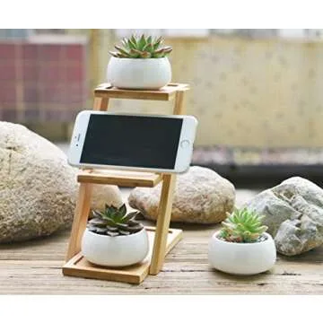Jusalpha Ceramic Round Succulent Plant Pot, Flower Pots with Drainage Hole for Succulent Plants, Cactus and Herbs Pot with Bamboo Tray for Room Decor