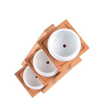 Jusalpha Ceramic Round Succulent Plant Pot, Flower Pots with Drainage Hole for Succulent Plants, Cactus and Herbs Pot with Bamboo Tray for Room Decor