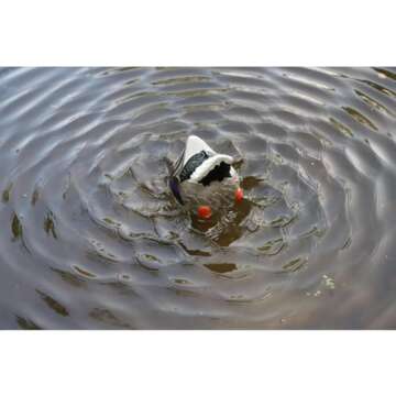Mojo Butt Up Rippler Mallard Decoy for Duck Hunting