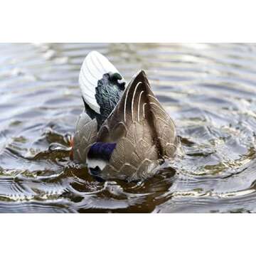 Mojo Butt Up Rippler Mallard Decoy for Duck Hunting