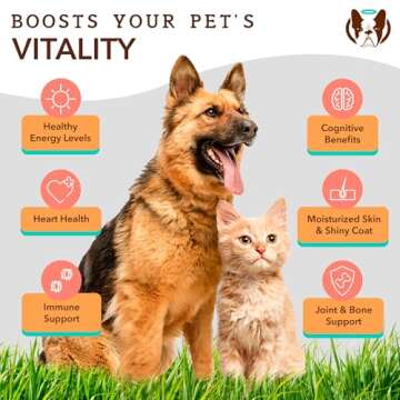 Natural Dog Company Wild-Caught Salmon Oil for Dogs (8oz) Omega 3 Fish Oil Supplement for Joint Health, Skin & Coat, Dog Food Topper with Essential Fatty Acids, Dog Fish Oil Supplement