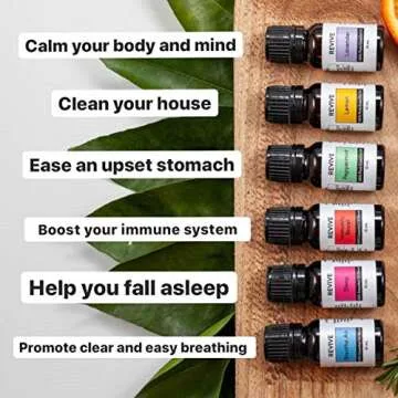 REVIVE Essential Oils Basics Kit - Pure Aromatherapy Success