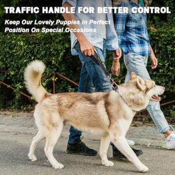 Durable Dog Harness Seat Belt with Reflective Features