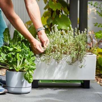 Glowpear Self Watering Planter Box - 23.6", White - UV Stable, Scalable Plant Pot with Water Gauge, Indoor Outdoor for Vegetables, Flowers, Herbs, and Succulents, Gardening