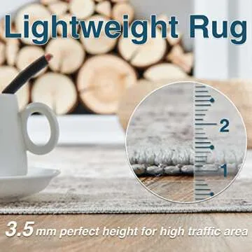 Jinchan 3x5 Washable Vintage Area Rug for Home