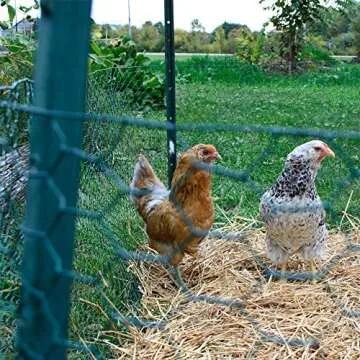 YARDGARD US Title 308452B Poultry Netting Fence 2 Foot x 25 Foot, Color-Green