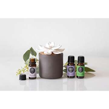 Edens Garden Stay Alert 10 ml Synergy Blend 100% Pure Undiluted Therapeutic Grade GC/MS Certified Essential Oil