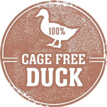 Fresh Is Best - Freeze Dried Healthy Raw Meat Treats for Dogs & Cats - Duck Necks