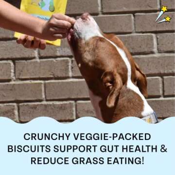 Chippin Vegan Spirulina Healthy Dog Biscuit | Sustainable, Hypoallergenic & Human-Grade Protein | Training Treat | Natural, Veggie Rich & Made in USA