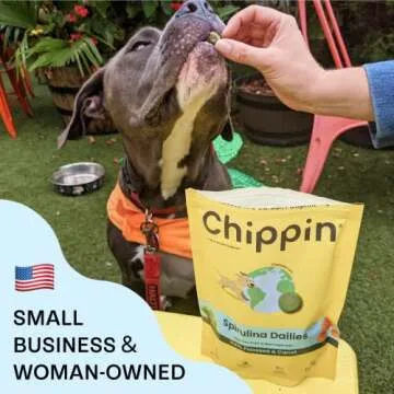 Chippin Vegan Spirulina Healthy Dog Biscuit | Sustainable, Hypoallergenic & Human-Grade Protein | Training Treat | Natural, Veggie Rich & Made in USA