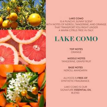 Allyoos A Quick Clean, Hair Rinse, Removes Sweat, Oil & Buildup From Scalp & Hair, No Suds, Dry Shampoo Alternative, Balances Scalp, Sulfate-Free