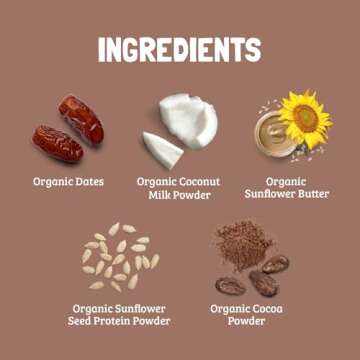 Skout Organic Chocolate Brownie Kids Snack Bars (18 Pack) | Organic Kids Snack Bars | School Snacks & Lunch Snacks | No Refined Sugar | Vegan & Paleo | Gluten, Dairy, Grain, Peanut Free