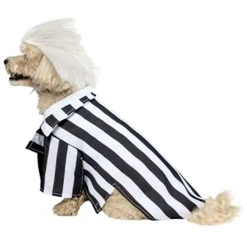 Rubies Beetlejuice Pet Costume for Themed Parties and Halloween, Small