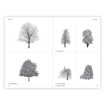 The Architecture of Trees: Stunning Illustrations & Insights