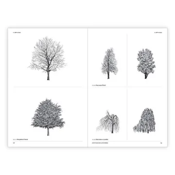 The Architecture of Trees: Stunning Illustrations & Insights