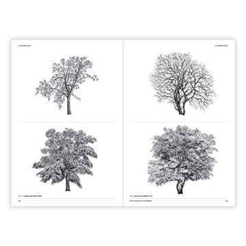 The Architecture of Trees: Stunning Illustrations & Insights