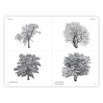 The Architecture of Trees: Stunning Illustrations & Insights