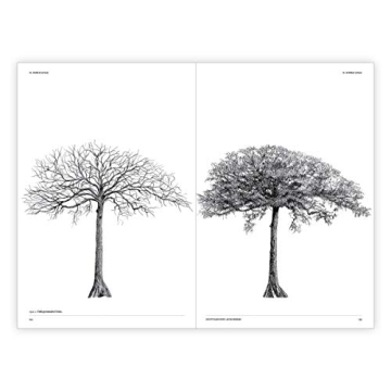 The Architecture of Trees: Stunning Illustrations & Insights