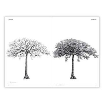 The Architecture of Trees: Stunning Illustrations & Insights