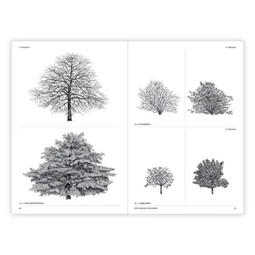 The Architecture of Trees: Stunning Illustrations & Insights