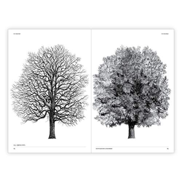 The Architecture of Trees: Stunning Illustrations & Insights