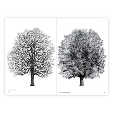 The Architecture of Trees: Stunning Illustrations & Insights