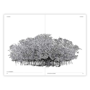 The Architecture of Trees: Stunning Illustrations & Insights