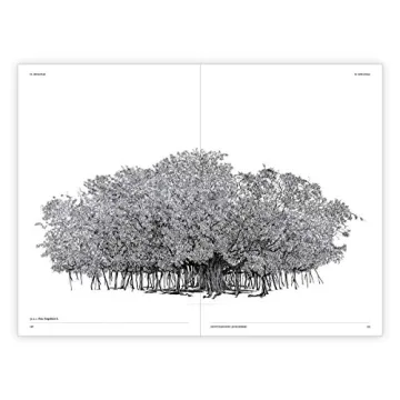 The Architecture of Trees: Stunning Illustrations & Insights