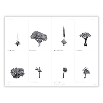 The Architecture of Trees: Stunning Illustrations & Insights