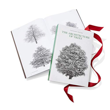 The Architecture of Trees: Stunning Illustrations & Insights