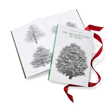 The Architecture of Trees: Stunning Illustrations & Insights