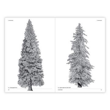 The Architecture of Trees: Stunning Illustrations & Insights